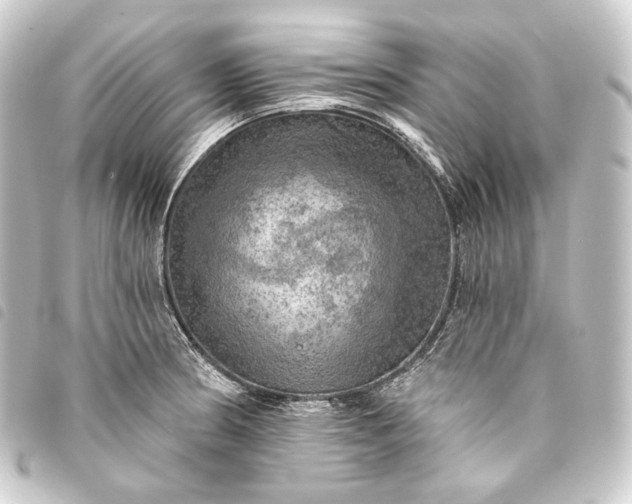 X0000093741186200710301058