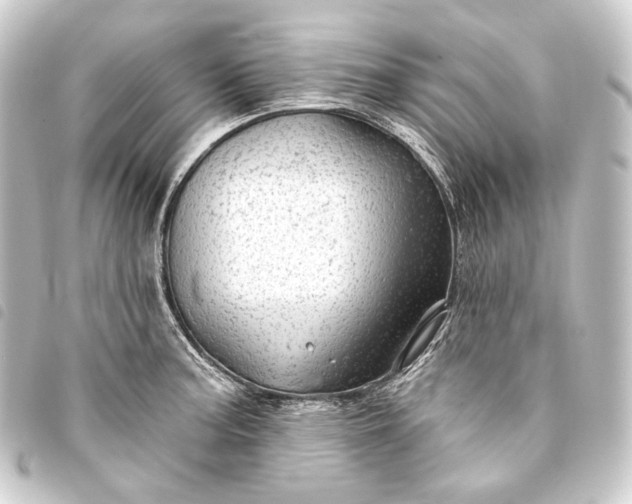 X0000093741187200710301058