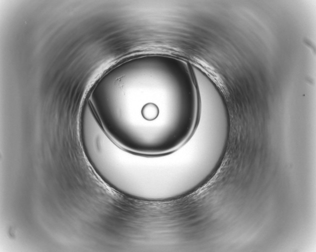 X0000093741188200710301058