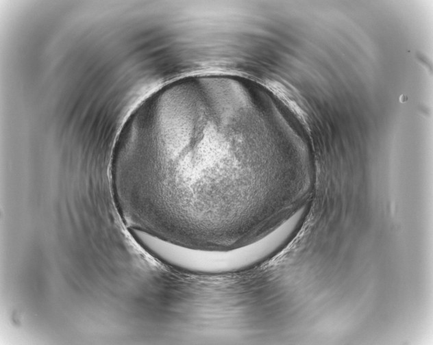 X0000093741189200710301058