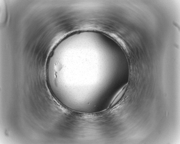 X0000093741191200710301058