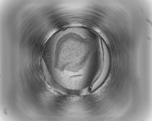 X0000093741193200710301058