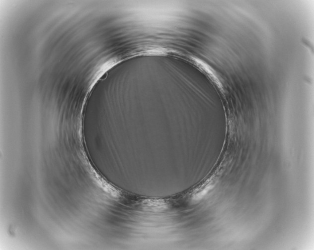 X0000093741194200710301058