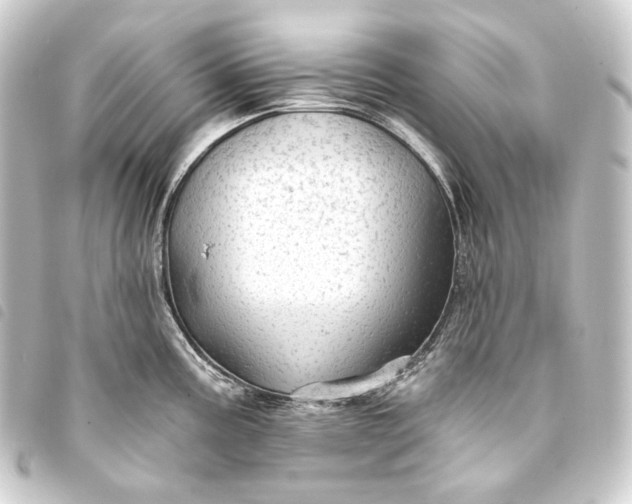 X0000093741195200710301058