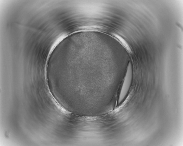 X0000093741196200710301058