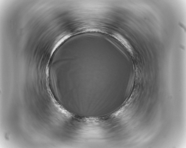 X0000093741198200710301058