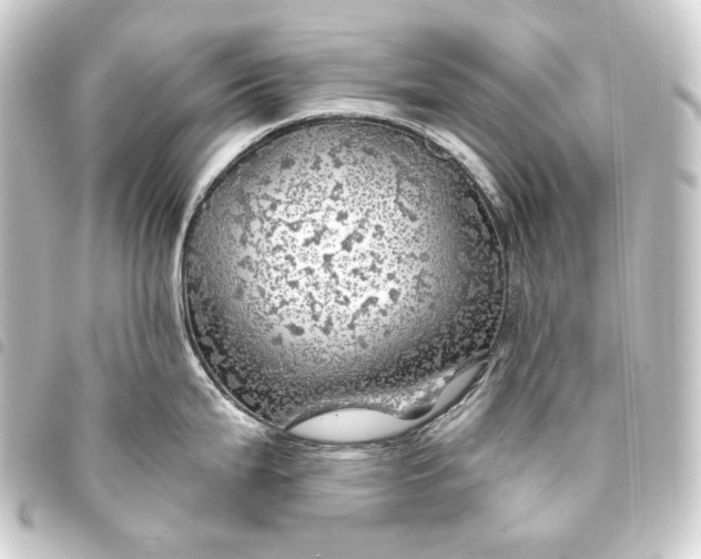 X0000093741199200710301058