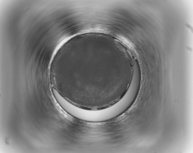 X0000093741200200710301058