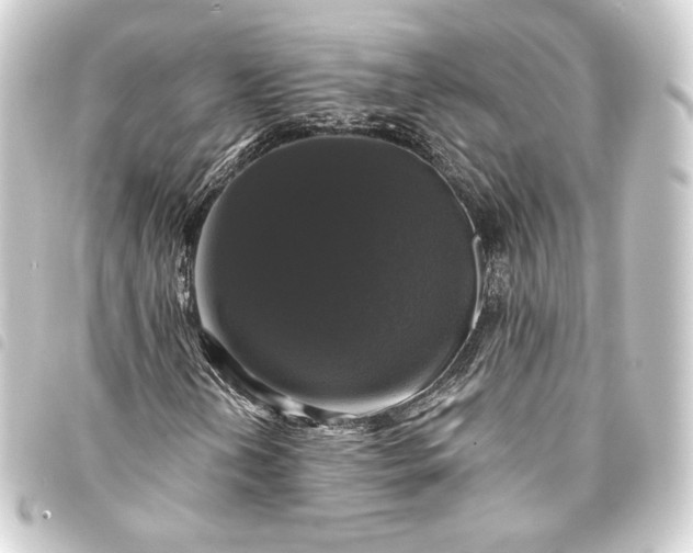 X0000093741202200710301057