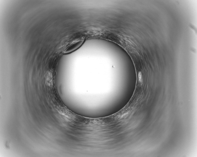 X0000093741203200710301057