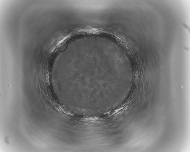 X0000093741205200710301057