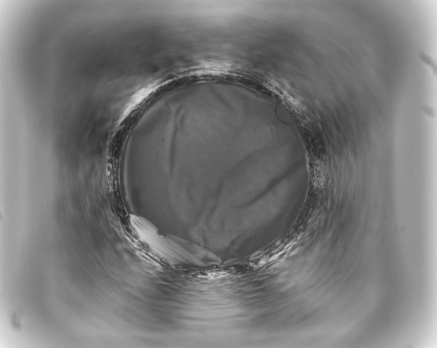 X0000093741208200710301057