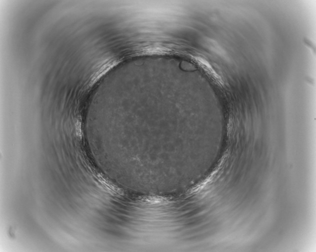 X0000093741209200710301057