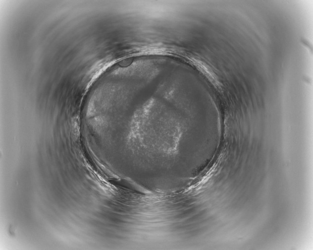 X0000093741212200710301057