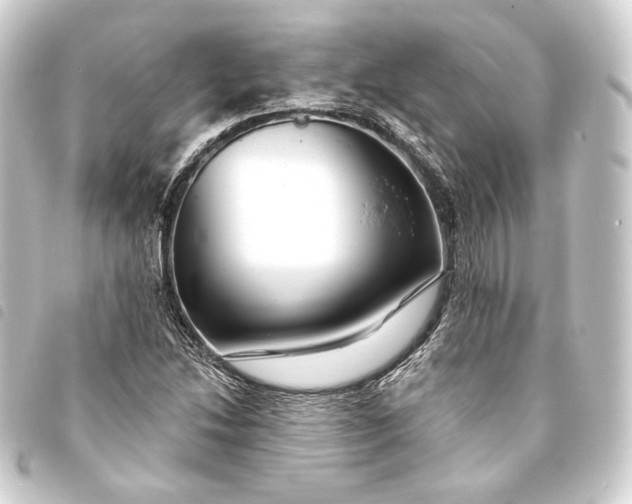 X0000093741214200710301057