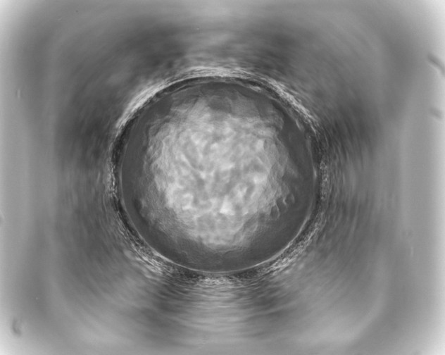 X0000093741215200710301057