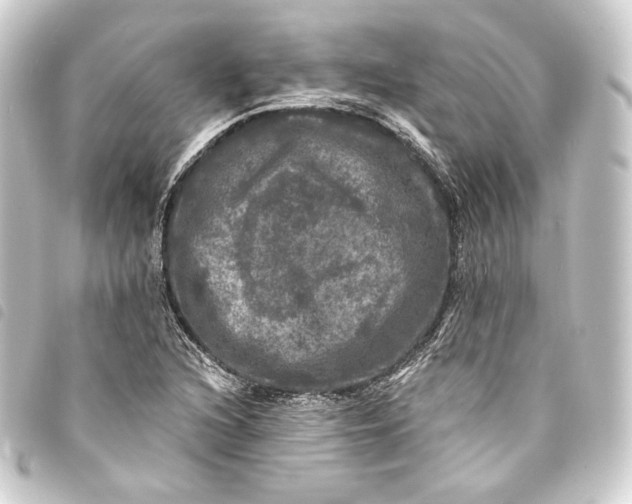 X0000093741216200710301057