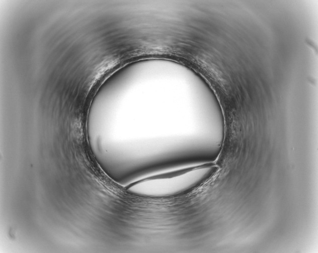 X0000093741218200710301057