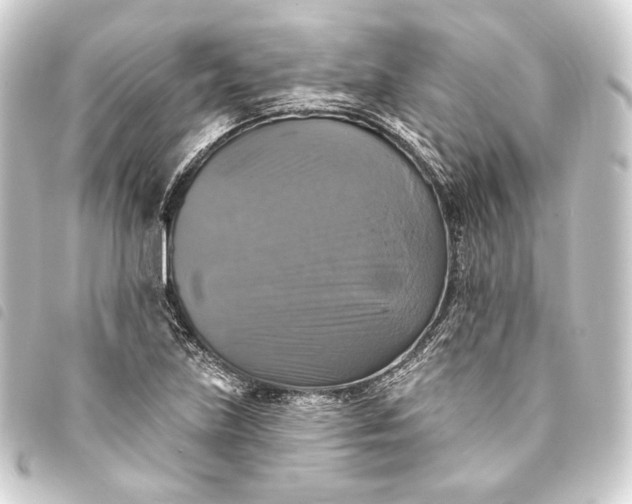 X0000093741219200710301057