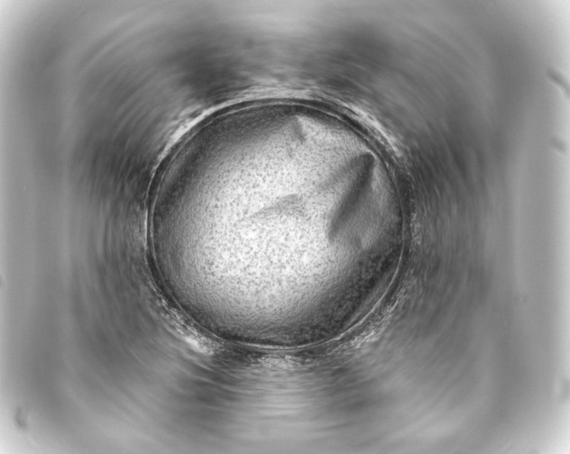 X0000093741220200710301057