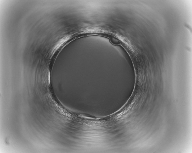 X0000093741221200710301057