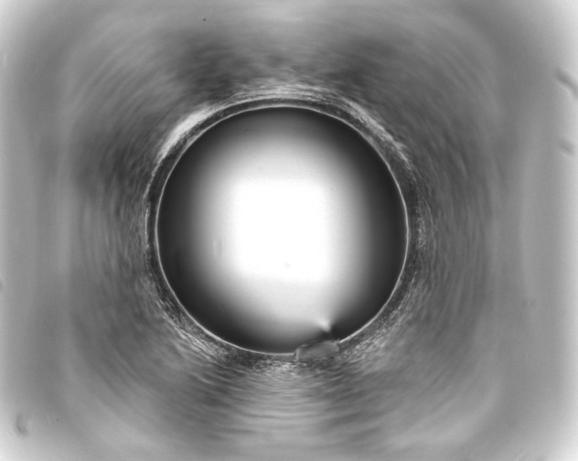 X0000093741222200710301057