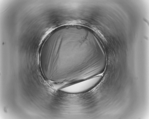 X0000093741224200710301057