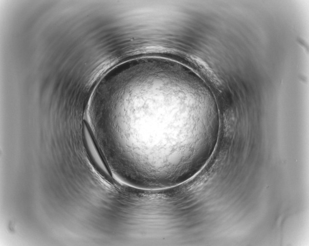 X0000093741225200710301057