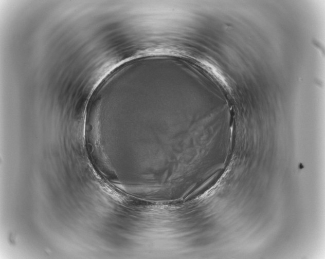 X0000093741228200710301058