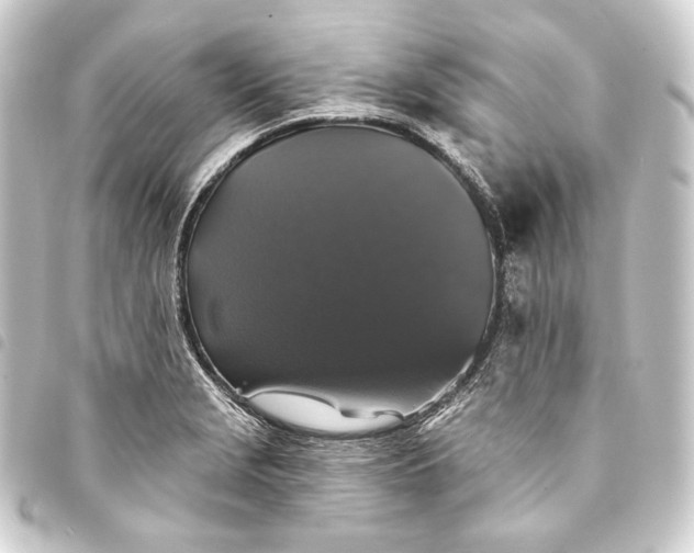 X0000093741229200710301058