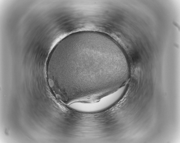 X0000093741230200710301058