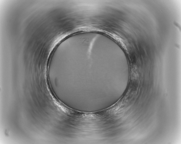 X0000093741231200710301058