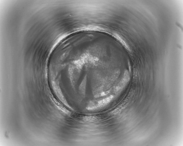 X0000093741232200710301058