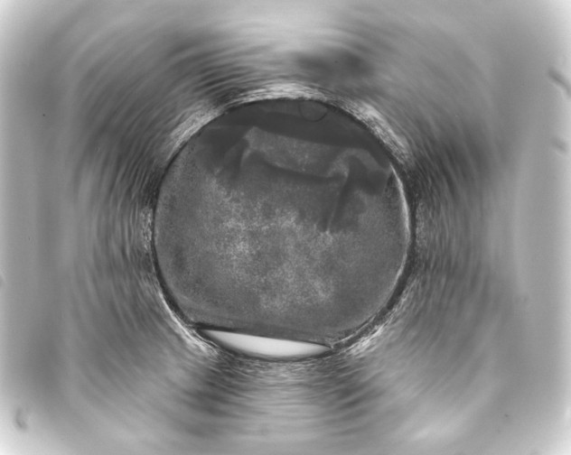 X0000093741233200710301058