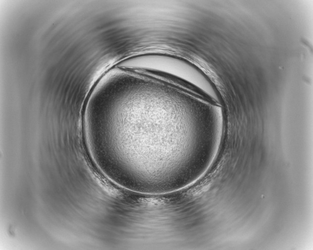 X0000093741234200710301058