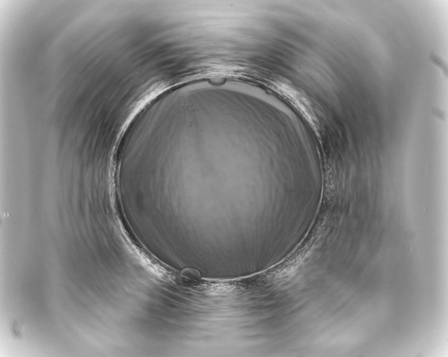 X0000093741235200710301058