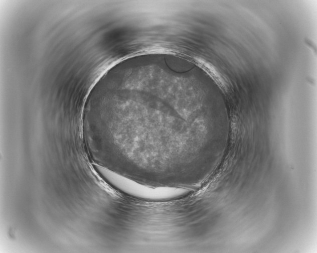 X0000093741236200710301058