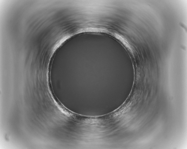 X0000093741237200710301058