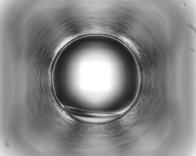 X0000093741238200710301058