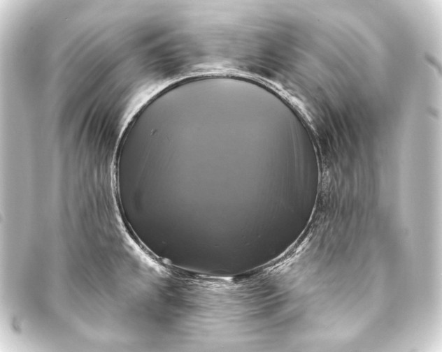 X0000093741239200710301058