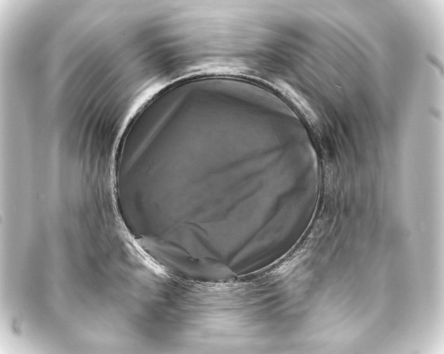 X0000093741240200710301058