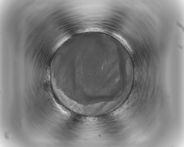 X0000093741241200710301058