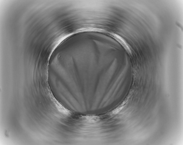 X0000093741244200710301058