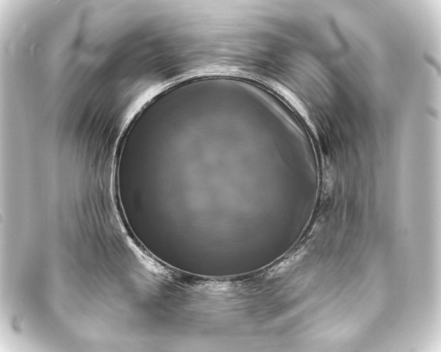 X0000093741245200710301058