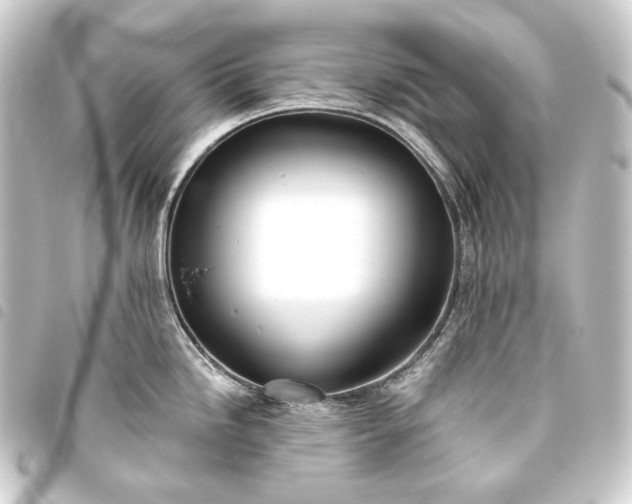 X0000093741246200710301058