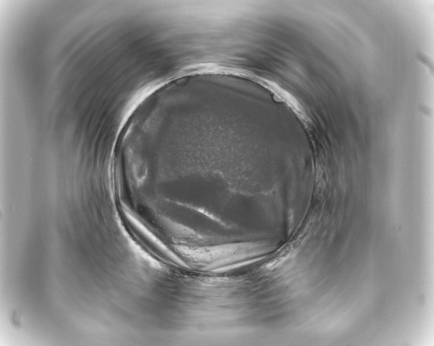 X0000093741247200710301058