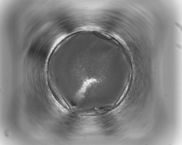 X0000093741248200710301058