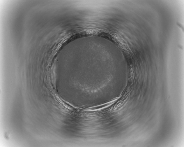 X0000093741249200710301057