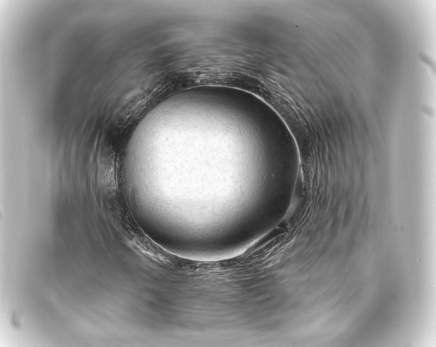 X0000093741250200710301057