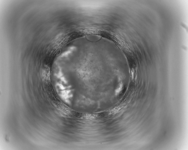 X0000093741251200710301057